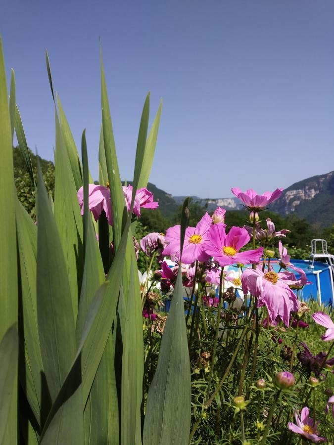Au Chalet D'Anna Saint-Rambert-en-Bugey Exterior foto
